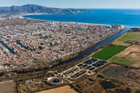 Çakal, Yılanla Görüntülendi