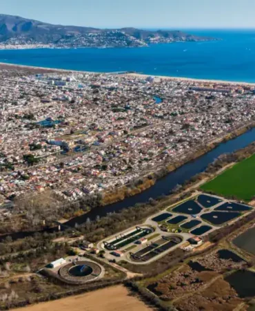 Çakal, Yılanla Görüntülendi