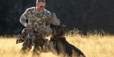 Brad Pitt and Odin in ‘Heart of the Beast’