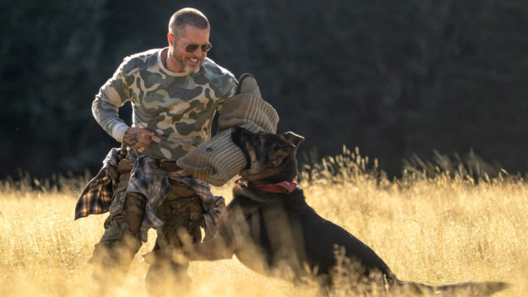 Brad Pitt and Odin in ‘Heart of the Beast’